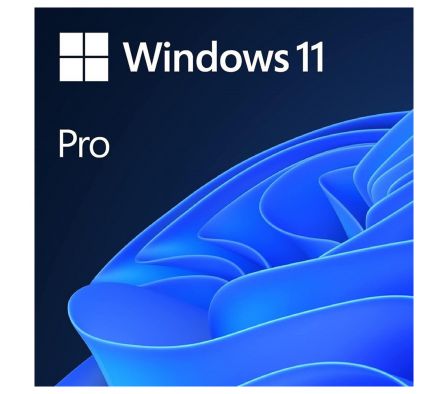 MS OEM DVD WIND 11 PRO 64 BIT