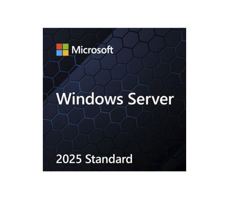 MS OEM DVD WIND SEVER DT 2025 SPA 1PK 16 C NM/NK